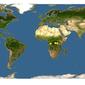 Discover Life: Point Map of Hyperolius frontalis