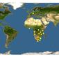 Discover Life: Point Map of Hyperolius marmoratus